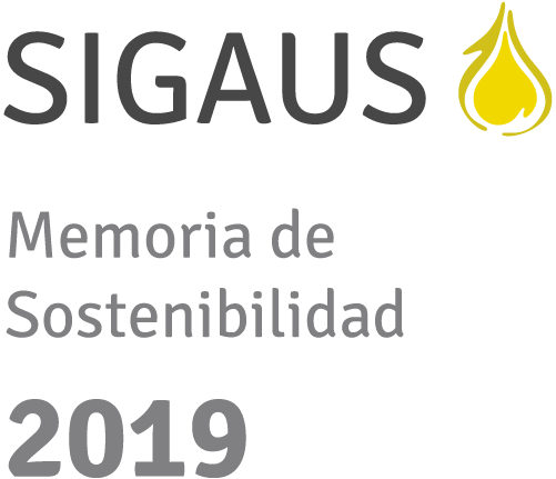 memoria2019.sigaus.es